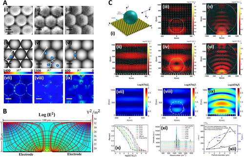 Figure 6. Numerical methods in Raman-saliva studies. A. Optimization of gold-coated polystyrene (Au-PS) bead SERS substrates for bioanalysis. SEM images of Au-PS substrate with different microwave irradiation times TMW (600 W, at 2.45 Hz): (i) 0 s, (ii) 200 s, and (iii) 600 s. (iv–vi) are the corresponding graphical diagrams with different geometries estimated from the SEM images with different TMW for discrete dipole approximation (DDA) modeling. In DDA modeling, the Au-coated PS bead sizes are assumed to have diameters (a) of 500 nm at TMW = 0 s. The center-to-center distance (b) between adjacent PS beads is 500 nm at TMW = 200 s. In the calculation, the geometry of PS beads is defined by physical contacts with adjacent beads over an edge length (c) of 176 nm positioned to another edge (d) at an angle of 120◦ with an arch (e) connecting the two ends of edges at the arch tangent point. At TMW = 600 s, the beads change to hexagonal shapes with side (f) of 288.68 nm in the DDA model. The corresponding |E|2 field distributions of the substrates with 785 nm light excitation under different TMW of 0 s, 200 s, and 600 s, are shown in (vii), (viii), and (ix), respectively. Adapted with permission from Yuen (2010). © John Wiley and Sons 2010. B. Silver nanoparticle electro-migration in dielectrophoretic microfluidic chip for SERS detection of drugs in saliva. Cross-sectional view of the microfluidic channel at midplane of one of the trap zones. Black lines correspond to contours of constant |E|2. Red lines show pathlines of the nanoparticles toward the trap. Highly polarizable nanoparticles migrate from the regions of low electric field intensity to regions of high electric field intensity. Adapted with permission from Salemmilani (2018). © American Chemical Society 2018. C. Optoplasmonic SERS platform for detection of methamphetamine in biofluids. (i) Illustration of model representing optoplasmonic hybrids. E-field intensity maps with time-averaged Poynting vectors (cyan arrows) in the X-Z plane of FDTD-simulated models at the wavelength of 785 nm for (ii) AuNP monolayer, (iii) SiO2 sphere with diameter = 500 nm, (iv) optoplasmonic unit with SiO2 sphere diameter = 500 nm, (v) SiO2 sphere with diameter = 2 μm, and (vi) optoplasmonic unit with SiO2 sphere diameter = 2μm. (vii) FDTD-simulated E-field map in the X-Z plane of AuNP monolayer and optoplasmonic units with different microsphere sizes: (viii) SiO2 particle diameter = 500 nm and (ix) SiO2 particle diameter = 5 μm. (x) Corresponding statistics on the percentage of different enhancement values in the E-field map of X-Z plane. All incident wavelengths in (vii–x) are 785 nm. (xi) SERS spectra of paramercaptoaniline obtained on the optoplasmonic unit with varied diameter (500 nm to 6 μm) of the dielectric sphere. (xii) SERS sensing efficiency γ and E-field enhancing efficiency FE as a function of dielectric particle diameter. The values are based on the SERS peak intensities at 1077 cm−1 in (xi). Adapted with permission from Hong (2020). © American Chemical Society 2020.