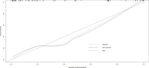 Figure 2 Calibration curve for nomogram prediction of blood transfusions after intramedullary nail fixation of femoral intertrochanteric fractures.