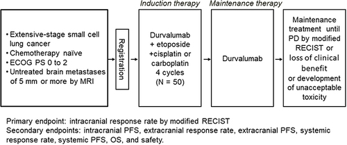 Figure 1 Design of the SPEED study.