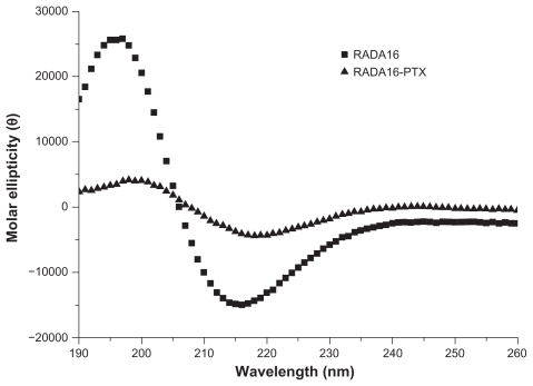 Figure 3 Secondary structure of RADA16 and RADA16 with incorporated paclitaxel. RADA16 peptide had a typical β-sheet structure. However, when paclitaxel was incorporated with RADA16, there was an obvious decrease in β-sheet structure.