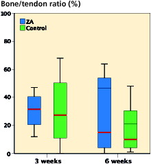 Figure 7. Clustered box-plots showing the bone–tendon ratio in the tunnel as measured by histomorphometry. No statistically significant effect of ZA treatment was observed at 3 weeks (p = 0.9, n = 8) or 6 weeks (p = 0.7, n = 9). Comparison of median values by independent samples Mann–Whitney test.