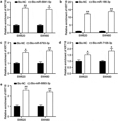 Figure 2. Identification of mRNAs interacting with mR‑186-3p in colon cancer cells.