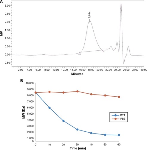 Figure 3 Reducible degradation ability of RHss.Notes: (A) Molecular weight of RHss4 was measured by GPC analysis. (B) Degradation property of RHss4 in DTT and PBS solutions.Abbreviations: DTT, dithiothreitol; GPC, gel permeation chromatography; LRHss, reducible chimeric polypeptide containing two functional peptides: octa-l-arginine and tetra-l-histidine peptides; PBS, phosphate-buffered saline; RHss, reducible chimeric polypeptide containing two functional peptides: octa-d-arginine and tetra-l-histidine peptides; MW, molecular weight; Rss, single cross-linked r8 peptide; min, minutes.