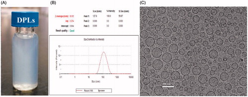 Figure 1. The photograph (A), particle size distribution (B), and cry-TEM image (C) of the DPLs.