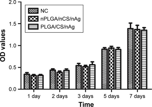 Figure 10 Effect of nPLGA/nCS/nAg on the proliferation of hPDLCs compared with PLGA/CS/nAg.Abbreviations: CS, chitosan; hPDLCs, human periodontal ligament cells; nAg, silver nanoparticles; nCS, CS nanoparticles; nPLGA, PLGA nanoparticles; PLGA, poly(lactic-co-glycolic acid).