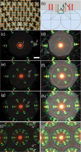 Figure 2. (Colour online) (a) Polarising microscopy image in transmission of hexagonally closed-packed CLC shells illuminated from below by linearly polarised white light and observed through a crossed analyser. Each shell diameter is about 250 m. (b) Schematic illustrations explaining the origin of the most fundamental reflection spots i (normal incidence reflection), ii (TIR-mediated communication) and iii (direct communication). For an introductory explanation of these communication pathways, see papers [Citation24,Citation25]. (c–j) Reflection polarising microscopy textures of a hexagonally close-packed CLC shell arrangement, illuminated with linearly polarised white light from above, with a field aperture that gradually increases from c–d to i–j. The original micrographs are in the left column (c, e, g, i) and the corresponding digitally enhanced images are shown in the right column (d, f, h, j), boosting the visibility of very weak reflections.