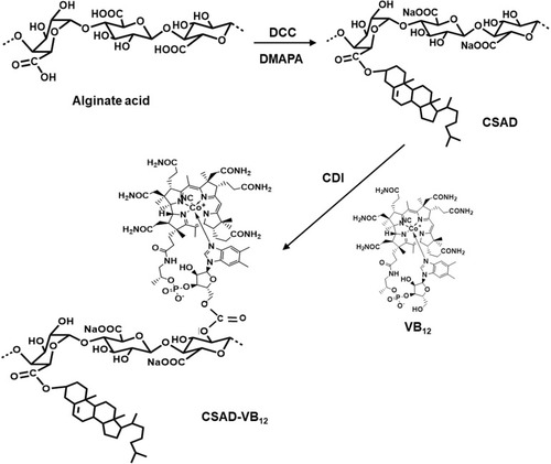 Scheme 2 Synthesis of the CSAD and CSAD-VB12 derivatives.