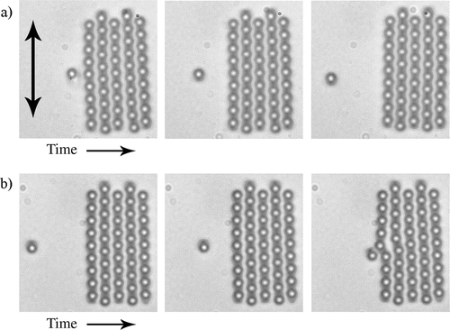 Figure 9. (a) Repulsion between a dipolar colloidal particle and a small dipolar crystal. Note the orientation of the particle's topological dipole with respect to the dipoles in the first-neighbouring chain of the crystallite. (b) When the direction of the particle's dipole is reversed, it is strongly attracted to the first chain in the crystallite.