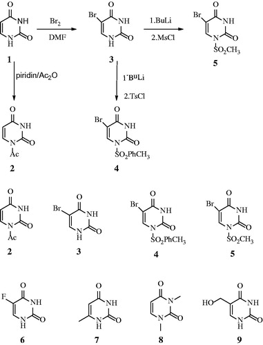 Figure 1. 2D structures of compounds 2–9.