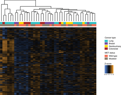 Figure 3. Immune gene expression across MET-mutated and MET wild-type tumors.Z-scores for 770 genes assayed using the multiplex gene expression panel in each tumor sample, annotated with cancer type and MET status.