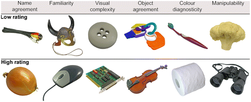 Figure 1. Examples of stimuli used in Experiment 1.