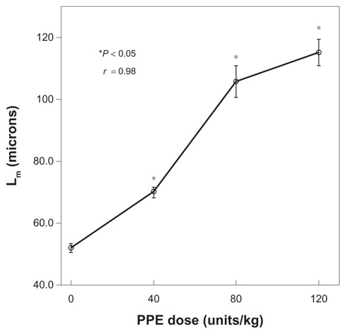 Figure 2 Relationship between the mean linear intercept (Lm) and the dose of porcine pancreatic elastase (PPE). Lm increased when the PPE dose increased.
