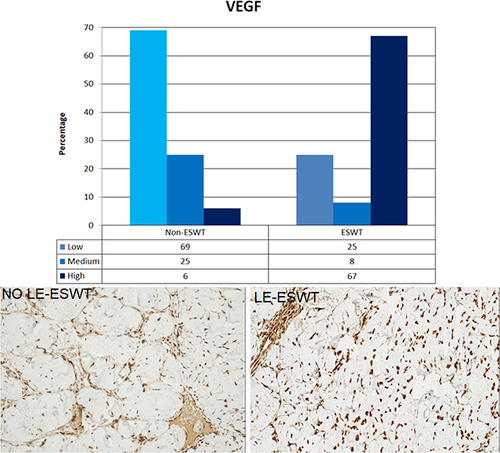 Figure 2 Vascular Endothelial Growth Factor. Graph shows scoring distribution (%) for VEGF in rats that either received LE-ESWT or anesthesia only. Bottom left image shows a representative tissue slice from the LE-ESWT-negative group. Bottom right image shows a representative tissue slice from the LE-ESWT-positive group.