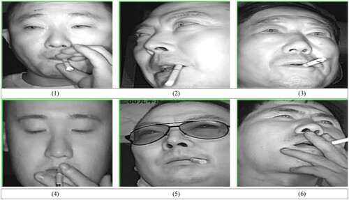 Figure 9: Test images of drivers smoking