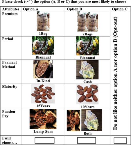 Figure 2. A sample of choice set presented to respondents.