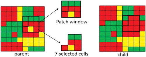 Figure 4. An example of patch-based-mutation.