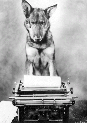 FIGURE 4. Rin Tin Tin as canine writer. Reproduced by permission of Getty Images.