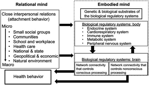 Figure 4 An embodied and relational model of health behavior.