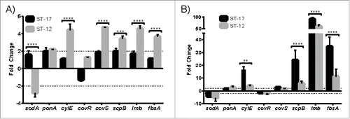 Figure 3. Virulence gene expression during intracellular survival. Differential expression of virulence genes (Table 2) relative to basal expression in culture medium was determined after 1 hr (A) and 24 hr (B) intracellular survival. Dashed lines mark 2-fold change in expression. Data shown are representative experiments of 3–4 biological replicates performed in triplicate. (**P < 0.01, ***P < 0.001, ****P < 0.0001).