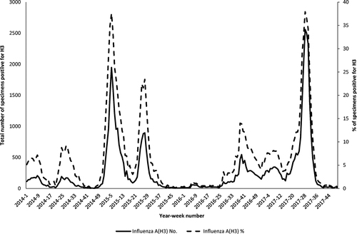 Fig. 1 Total number and percentage of influenza A(H3) virus detected in Hong Kong from 2014 to 2017.The data were obtained from the Public Health Laboratory Services of Hong KongCitation39