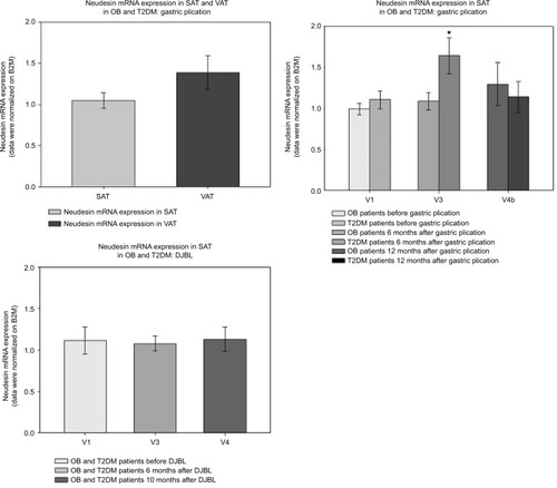 Figure 4 Neudesin mRNA expression in SAT and VAT during GP and DJBL.