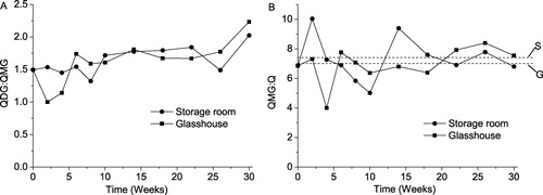 Figure 2. QDG/QMG (A) and QMG/Q (B) ratios as functions of storage time. Dashed horizontal lines in Panel B show average levels of the QMG/Q ratio for the storage room trial (marked “S”) and the glasshouse trial (marked “G”) respectively. QDG/QMG, quercetin-3,4′-O-diglucoside; QMG/Q, quercetin-4′-O-monoglucoside/quercetin aglycone.