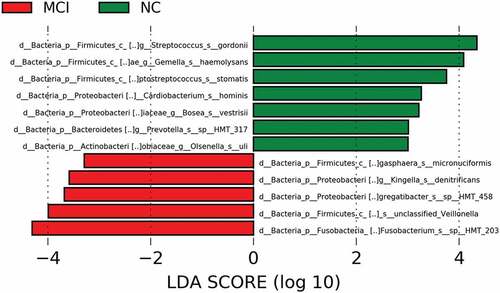 Figure 7. Legends showed composition of different genera of microbiome between the participants with MCI and normal cognition using LEfSe analysis.