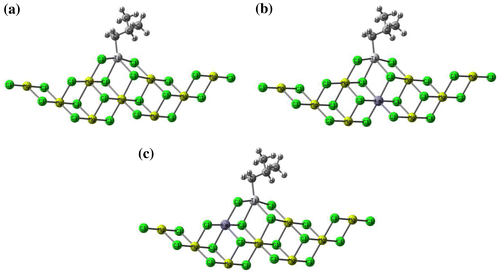 Figure 9. Employed models for the simulation of propene insertion into Ti-iBu active center. (a) MgCl-UD as undoped catalyst, (b) MgCl-D1 and (c) MgCl-D2 as doped catalyst models.