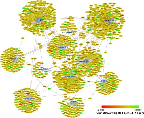 Figure 3 A network of hub miRNAs and their target genes.