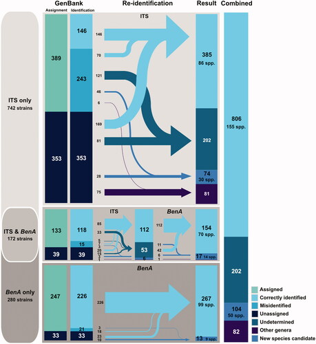 Figure 3. Diagram of the re-identification process and results on Korean Penicillium ITS and BenA sequences from GenBank. The sequences were re-identified by RAxML tree-based identification and compared with original annotation of corresponding GenBank record. Sequences without scientific names is GenBank record were labeled “Unassigned,” and sequences cannot be identified due to low resolution of phylogenetic tree were labeled as “Undetermined.” Numbers in the diagram show the number of records in each category.