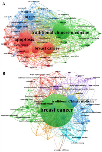 Figure 7. Keyword co-occurrence network diagram.A: English publications. B: Chinese publications.