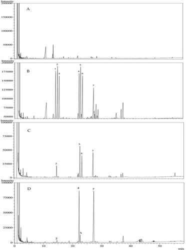 Figure 2. Gas chromatograms of monosaccharides hydrolyzed from the polysaccharides of DOPs and Mat. A Negative control. B Standard mixture. C DOPs. D Mat. 1. Xylose, 2. Arabinose, 3. Rhamnose, 4. Mannose, 5. Glucose, 6. Galactose, 7. Internal standard (Inositol hexaacetate).