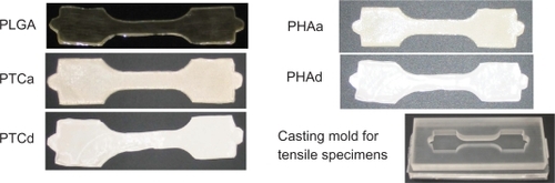 Figure 1 The mold-cast tensile specimens of PLGA, agglomerated nano-titania in PLGA composites (PTCa), well-dispersed nano-titania in PLGA composites (PTCd), agglomerated nano-HA in PLGA composites (PHAa), well-dispersed nano-HA in PLGA composites (PHAd) and the casting mold for tensile specimens. The tensile specimen gage length × width × thickness = 25 × 10 × 0.5 mm. The depth of the casting mold was designed as 10 mm.