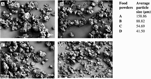 Figure 1. Scanning electron microscope image of superfine and conventionally ground food powders. (a) – food powder from conventional grinding; (b) – food powder from 1 min superfine grinding; (c) – food powder from 5 min superfine grinding; (d) – food powder from 10 min superfine grinding (source: Zhang et al., Citation2021).