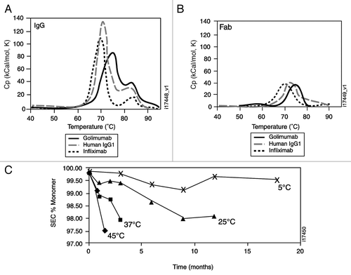 Figure 1 Stability of golimumab in solution. Intact antibodies (A) and Fab fragments (B) were dialyzed, degassed and analyzed by differential scanning calorimetry with dialysate in the reference cell. Buffer-buffer scans run independently were used for data baseline subtraction. (C) golimumab formulated at 100 mg/mL and stored at the indicated temperatures was analyzed by size exclusion chromatography (SEC) at each time point to determine the % monomeric golimumab.