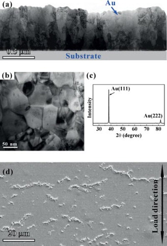 Figure 1. (a) Cross-sectional TEM image of the 930-nm-thick Au film on the polyimide substrate. (b) Plan-view TEM image of the Au film. (c) The XRD θ–2θ scanning result of Au films, revealing the strong (111) out-of-plane texture. (d) SEM observation of the damage morphology in the post-fatigued Au films.