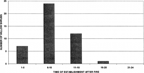 FIGURE 8. Bar graph showing the number of Salix pulchra shrubs that became established at different time intervals following the 1977 tundra fire at sites 2, 5, 6, and 7 on Nimrod Hill. Age was determined by counting the number of annual rings at the base of the largest stem on 44 randomly sampled willow shrubs