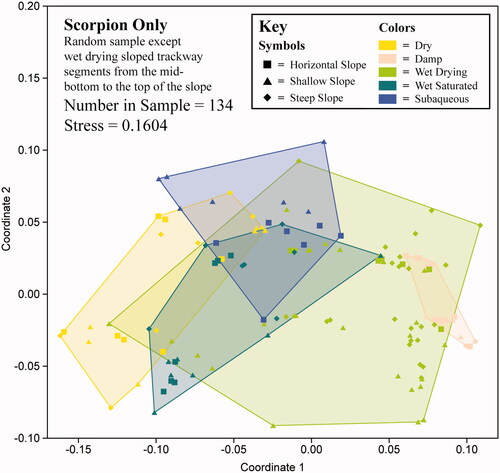 Figure 19. Non-metric multidimensional scaling (N-MDS) visualization for a random sample of scorpion trackways grouped by condition (N = 134; stress = 0.1604). For the variables used, see Table 3.