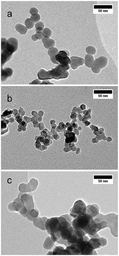 FIG. 4 TEM micrographs of intact particles: (a) base case with d pp = 27 nm, (b) smaller primary particle size d pp = 16 nm, and (c) sintered particles.
