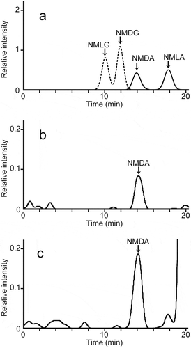 Figure 3. LC-ESI-MS/MS chromatograms of the FDLA derivatives of authentic N-methyl amino acids and from the assay solutions for D-aspartate N-methyltransferase in S. broughtonii.(a) LC-ESI-MS/MS chromatograms of the FDLA derivatives of authentic NMDA and NMLA (solid line) with m/z 288 as the monitoring ion, and authentic NMDG and NMLG (dashed line) with m/z 280 as the monitoring ion. A mixture of 5 µmol/L each of NMDA, NMLA, NMDG, and NMLG was derivatized with FDLA.(b) LC-ESI-MS/MS chromatograms of FDLA derivatives in the assay solution prepared from the dialyzed tissue homogenate from the mantle of S.broughtonii, D-aspartate, and SAM without incubation at 30°C (blank). The monitoring ions used the fragment ion of m/z 288 produced from the precursor ion of m/z 442.(c) LC-ESI-MS/MS chromatograms of FDLA derivatives from the assay solution, prepared from the same dialyzed tissue homogenate used in (b), D-aspartate, and SAM with incubation for 10 min at 30°C. The monitoring ions used the fragment ion of m/z 288 produced from the precursor ion of m/z 442.