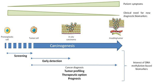 Figure 1. Phases of carcinogenesis – a process where a cell progresses from the preneoplastic cell into tumour cell and in situ carcinoma, leading to the invasion of blood vessels and lymph nodes, as well as surrounding tissue (Delpu et al., Citation2013).