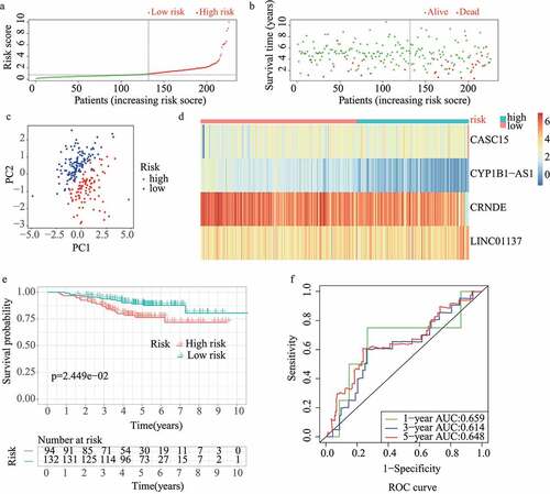 Figure 4. External validation of redox-LPS in test3 cohort. (A) Group division in test3 cohort. (B) Distributions of risk score and survival status in test3 cohort. (C) PCA in test3 cohort. (D) Heatmap about the expression levels of the four lncRNAs involved in the signature in test3 cohort. (E) Survival curve of test3 cohort. (F) ROC curves of test3 cohort