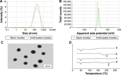 Figure 2 (A) The particle size distribution spectrum of blank micelles and AmB-loaded micelles; (B) zeta potential of blank micelles and AmB-loaded micelles; (C) morphology of AmB-loaded micelles determined by TEM (scale bar 100 nm); (D) DSC analysis of (a) MPP, (b) AmB, (c) AmB/MPP micelles, and (d) AmB and MPP physical mixtures.Abbreviations: AmB, amphotericin B; TEM, transmission electron microscopy; DSC, differential scanning calorimetry; MPP, monomethoxy poly(ethylene glycol)-poly(epsilon-caprolactone)-graft-polyethylenimine.