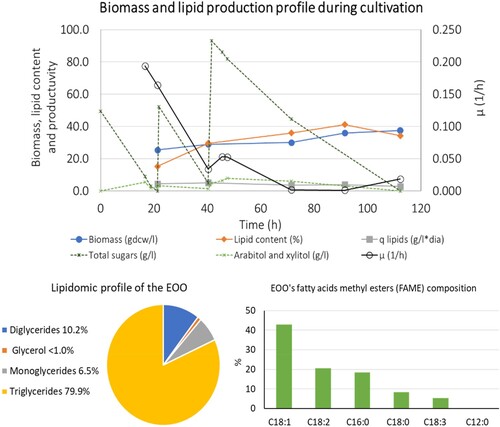 Figure 4. Physiological profile of R. toruloides cultivated in C5 hydrolysate and lipidomics profile of the produced EOO.
