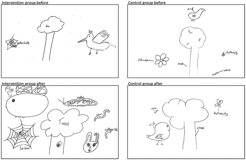 Figure 1. Examples of biodiversity perception drawings for two children (both 9 years old), one from the intervention group and one from the control group, before and after the programme of activities.