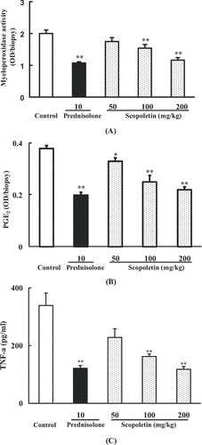 Figure 5.  Effects of scopoletin and prednisolone on (A) MPO activity, (B) PGE2, and (C) TNF-α levels of mouse ears in croton oil-induced dermatitis. Values were means ± SEM of 8 mice. Statistically significant difference with respect to control was expressed as *P < 0.05, **P < 0.01.