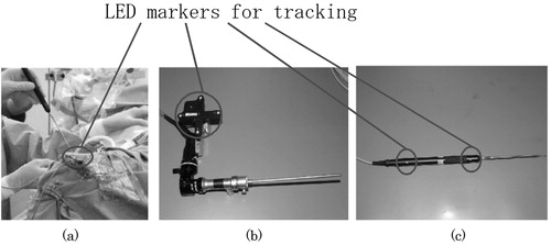 Figure 9. The LED markers are used to estimate the positions and orientations of the patient's head, the endoscope and the stylus probe. (a) Eyeglass registration frame; (b) endoscope registration frame; (c) LEDs on probe.