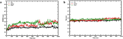 Figure 1. Instantaneous backbone RMSDs from the starting structure (a) and radius of gyration (b) for the wild-type (WT) and the mutants.