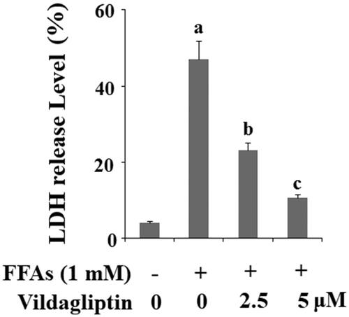 Figure 1. Vildagliptin inhibits FFA-induced endothelial lactate dehydrogenase (LDH) release. Human umbilical vein endothelial cells (HUVECs) were treated with high FFAs (1 mM) in the presence or absence of vildagliptin (2.5, 5 μM) for 48 h. LDH release was determined using a commercial kit (a, b, c, p < .01 vs. previous column group).