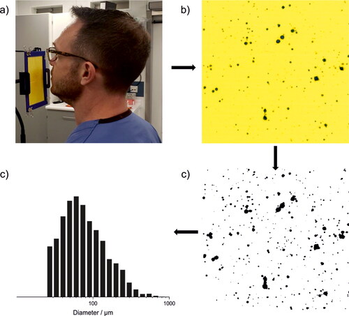 Figure 1. (a) Participant performing WSP-DDA experiment, (b) cropped image of WSP after experiment, (c) binarized image of (b), showing the detected respiratory droplets via image processing, and (d) size distribution of droplet diameters, calculated from stains detected on the WSP.